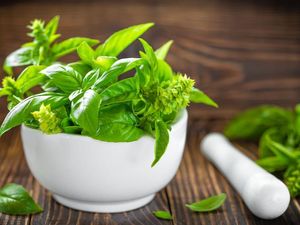 Teknologi Medis Canggih, Masihkah Cina Andalkan Herbal untuk Obat?