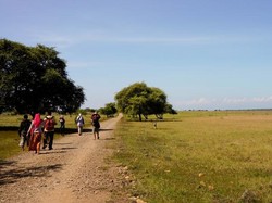 Berbagai Sisi Savana di TN Baluran