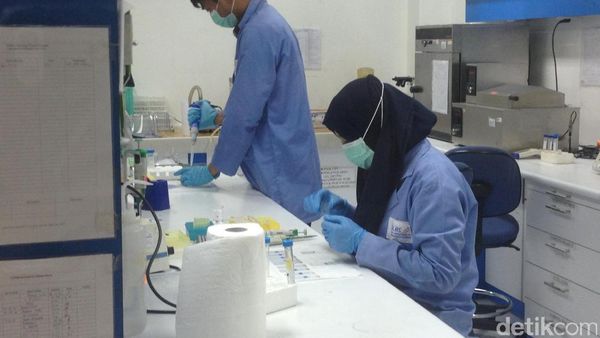 Menengok Isi Laboratorium Riset Obat Herba