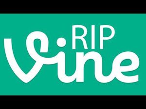Vine Boleh Mati, Tapi Videonya Tetap Bisa Dinikmati