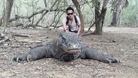 Mau Liburan Ke Komodo Di Simpulan Tahun Ini Pesan Buat Mau Liburan Ke Komodo Di Simpulan Tahun Ini Pesan Buat