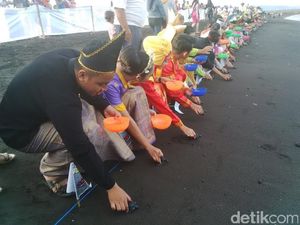 Ratusan Relawan Berpakaian Adat Lepas Tukik di Pantai Boom Ratusan Relawan Berpakaian Adat Lepas Tukik di Pantai Boom