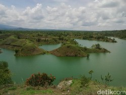 Bukan Raja Ampat, Ini Waduk Bajulmati di Banyuwangi