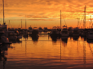 Festival Bahari Kepri 2016 Pecahkan Rekor Yachter Nasional