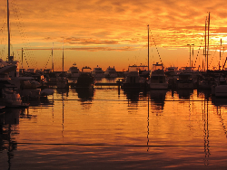 Festival Bahari Kepri 2016 Pecahkan Rekor Yachter Nasional