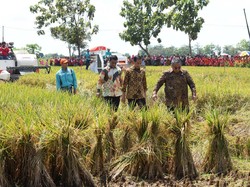 RI Bercita-cita Jadi Lumbung Pangan Dunia di 2045