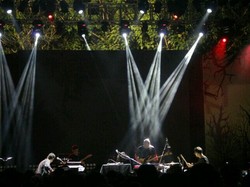 Gelar Tur 4 Kota, The Trees and The Wild Ingin Dinikmati dengan Tulus