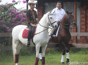 Charta Politika: Belum Ada Cawapres yang Mampu Dongkrak Jokowi Charta Politika: Belum Ada Cawapres yang Mampu Dongkrak Jokowi