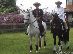 Polisi Tangkap Ahmad Dhani Cs, Prabowo: Terlalu Jauh Kalau Dituduh Makar