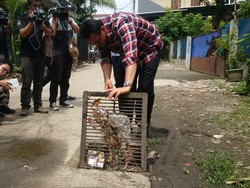 Blusukan di Jagakarsa, Ahok Cek Sumur Resapan dan Borong Buah