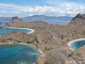 TN Komodo Batasi 1.000 Turis: Pelaku Wisata Dukung tapi Minta Hapus Mafia Tiket TN Komodo Batasi 1.000 Turis: Pelaku Wisata Dukung tapi Minta Hapus Mafia Tiket