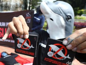 Aksi Tolak Sirkus Lumba-lumba