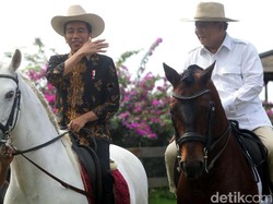 Redakan Ketegangan, Jokowi-Prabowo Diminta Naik Kuda Lagi Usai Pilpres