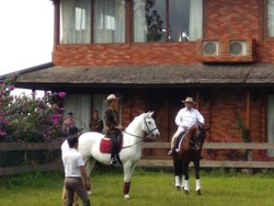 Mengenal Salero dan Principe, Dua Kuda yang Ditunggangi Prabowo serta Jokowi