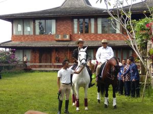 Tentang Kuda di Antara Prabowo, Jokowi dan SBY