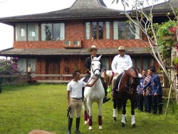 Kubu Jokowi Soroti Kuda Impor Prabowo, Timses: Jaka Sembung Bawa Golok