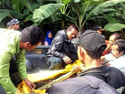 Satu Korban Jembatan Putus di Sukabumi Ditemukan, Satu Lagi Masih Pencarian