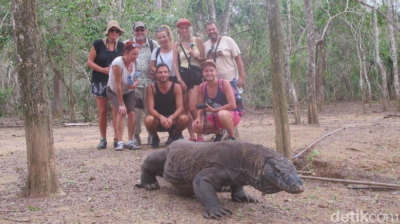 Turis yang sedang berfoto dengan komodo di Pulau Komodo (Afif/detikTravel)