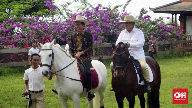 Prabowo di Antara Dilema Maju Capres dan Persoalan Cawapres
