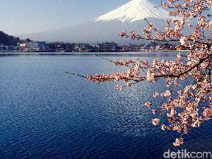 Jepang, Bukan Cuma Sakura dan Fujiyama
