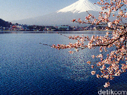 Jepang, Bukan Cuma Sakura dan Fujiyama