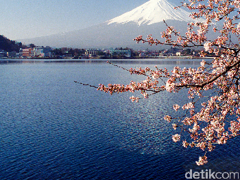 Jepang, Bukan Cuma Sakura dan Fujiyama
