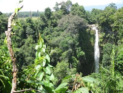 Daripada Kesal, Mending Foto Air Terjun Instagrammable di Sumut