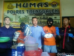 Polisi Trenggalek Tangkap Sindikat Penyelundup Benih Lobster