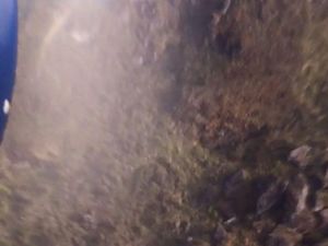 Ini Lokasi Ditemukannya Pesawat yang Hilang di Ilaga Papua