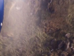 Ini Lokasi Ditemukannya Pesawat yang Hilang di Ilaga Papua