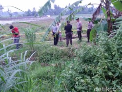 Polisi Periksa 6 Saksi, Penaruh Bom Rakitan yang Terinjak Kerbau Masih Gelap