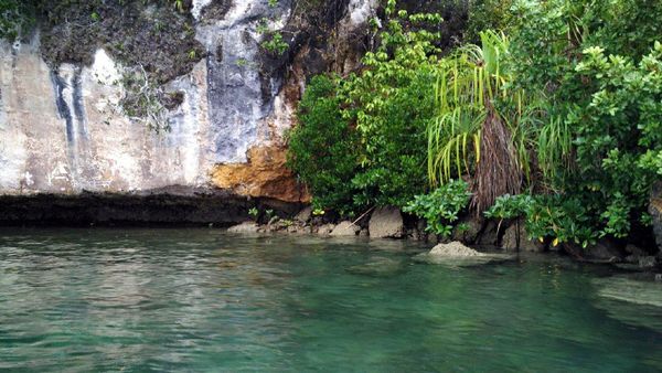 Penampakan Lukisan Purba Misterius di Dinding Tebing Raja Ampat