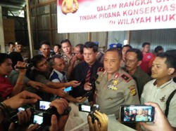 Polisi Bongkar Perdagangan Trenggiling untuk Campuran Narkoba di Jambi