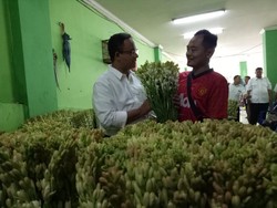 Terima Usulan Warga, Anies Ingin Ada Festival Bunga di Jakarta