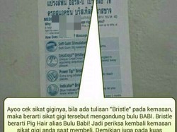 Beredar Kabar Ada Sikat Gigi Dibuat dari Bulu Babi, Bagaimana Mengetahuinya?