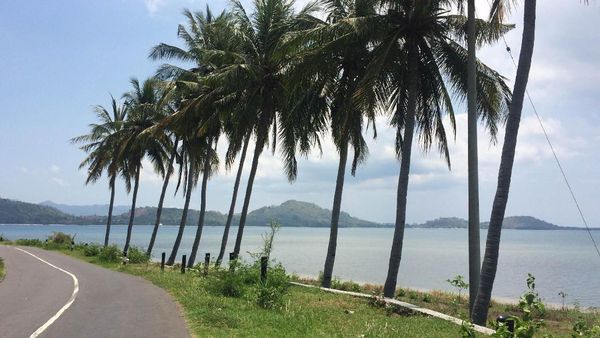 Jalan Mulus Pinggir Pantai, Ini Bukan Hawaii Tapi Lombok