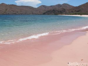 Cerita Sedih Pantai Pink Perawan di Komodo