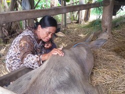 Bom Kerbau di Bantul, Polisi Gambar Sketsa Wajah Pelaku