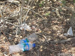 Ya Tuhan, di Puncak Pulau Padar Saja Banyak Sampah