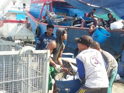 Mengintip Pelabuhan Muara Baru yang Bakal Disulap Susi Jadi Tsukiji Market