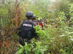 Pasukan Gabungan Bersenjata Cari Ladang Ganja di Aceh