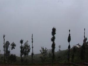 Menikmati Kabut Nan Syahdu di Dataran Tinggi Posong, Temanggung