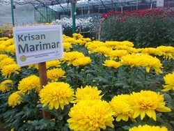 Akhir Pekan Anti Mainstream di Cianjur, ke Balai Tanaman Hias