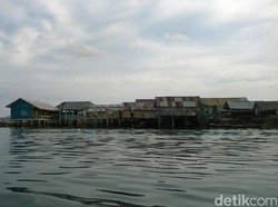 Buka Laut, Ritual Suku Bajo Sebelum Melaut