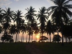 Libur Idul Adha ke Lombok? Ini Daftar Pantainya