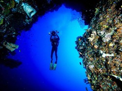 Ini Jadwal yang Tepat untuk Berlibur ke Wakatobi