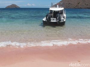 Bangga! Indonesia Punya Banyak Pantai Pink