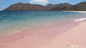 Yakin Tidak Tergoda dengan Pantai Pink Ini?