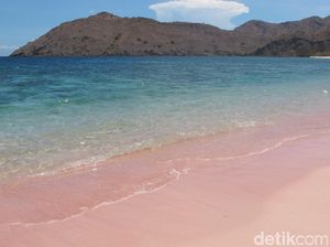 Yakin Tidak Tergoda dengan Pantai Pink Ini?