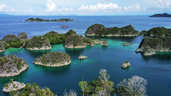 Gugusan Pulau di Raja Ampat yang Disebut Surga oleh Jokowi